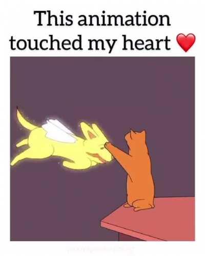 Random Guy makes animation for owners