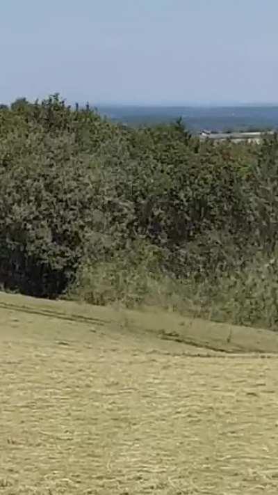 Strohnado vor meiner Haustür (Video)