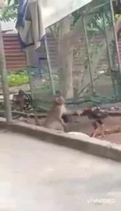 4 mim sem perder amizade