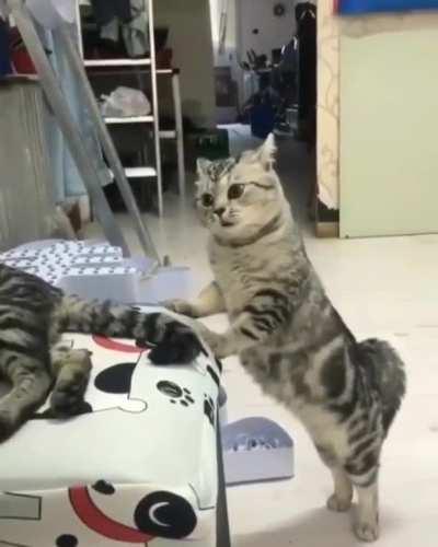 YO! You better get yo ass out of my chair !