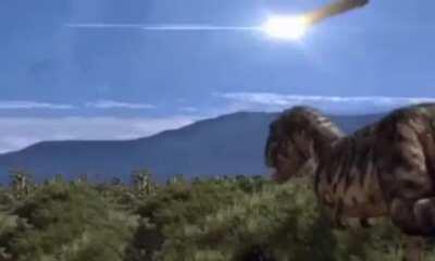 Вымирание динозавров по версии Свидетелей Плоской Земли.