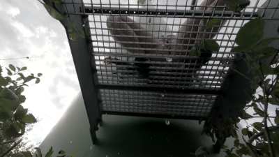 You spot me, what are you doing