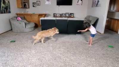 A girl and her dog do a gymnastics routine