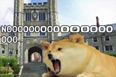 doge has become the content-aware scale