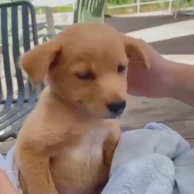 This belongs here...