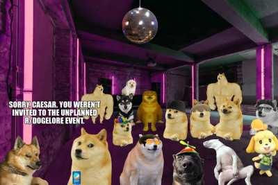 Le unplanned r/dogelore event has arrived