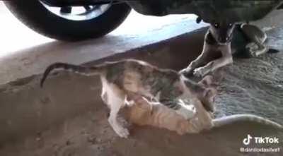 just when you thought you had seen it all...