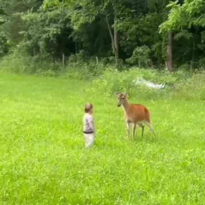 Children and animals, they don't work out