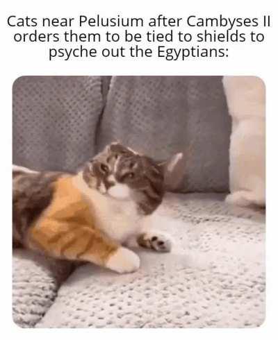 Egyptian problems require kitty kat solutions