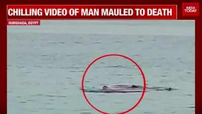 Shark eats Russian tourist in front of his father at Egyptian beach