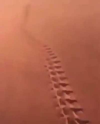 Day 69 of telling you guys to love yourselves! Admits the the desert of life you fight on. You refuse to stop no matter how hard it gets. I believe in you, because you are strong. Please if you need someone to just vent to I’m always here. I may not be ab