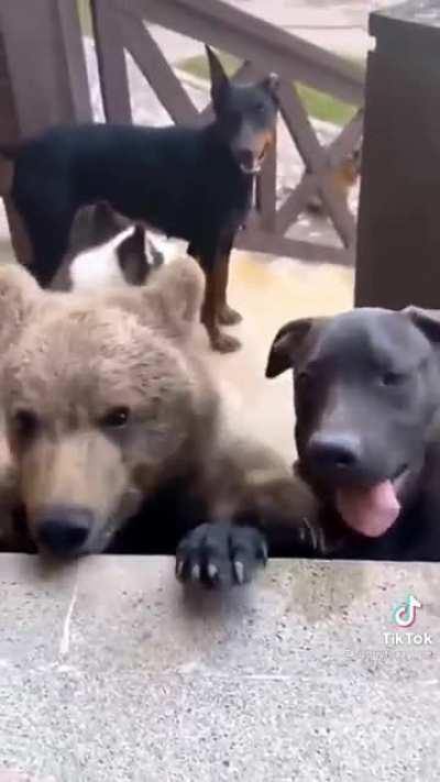 Thought he fit right in 😂