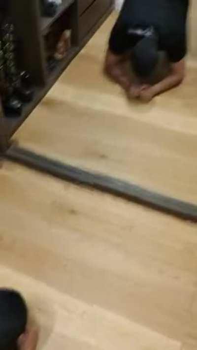 You are the perfect chair