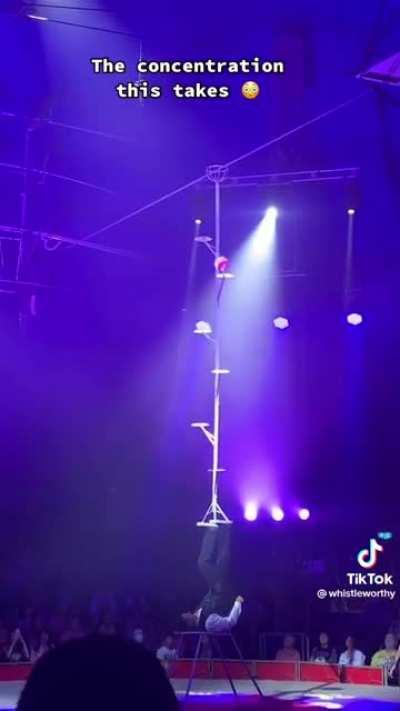 The sheer effort, time and discipline it must have taken to master this.