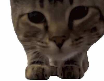 My last look at you people before we begone