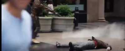 My PvE buddy wishing me the best in Trials this weekend