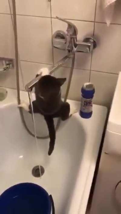 My 1st attempt on installing arch