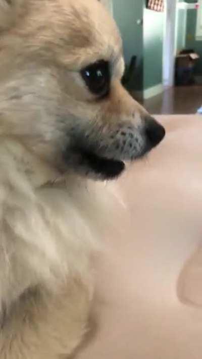 His cuteness is just ridiculous ❤️