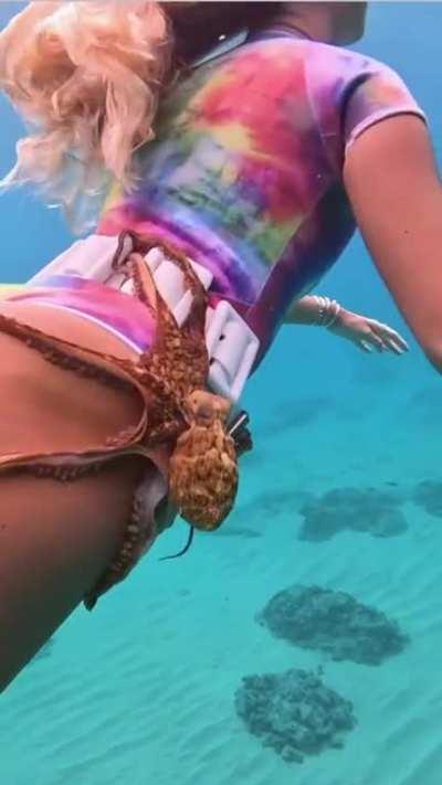 Squidward uses tentacles to latch onto transportation device