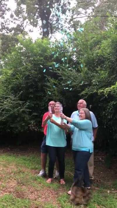 Cat gets PTSD from gender reveal.