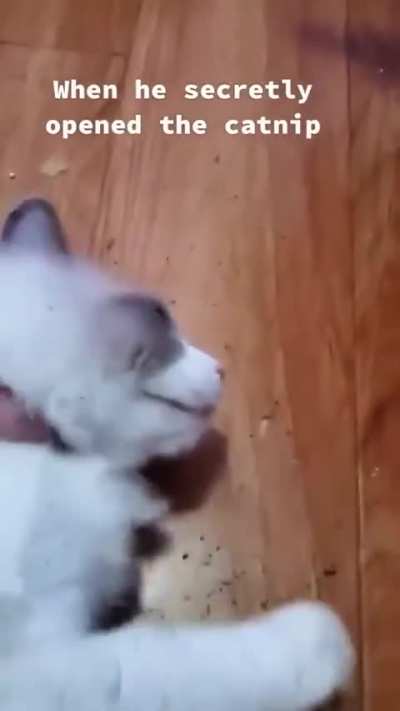 Bro is on another planet right now