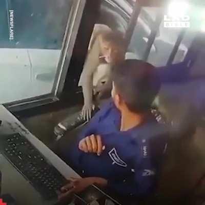 Monkey Trained To Steal