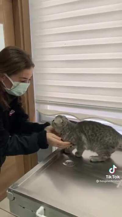 I would yell too 😡