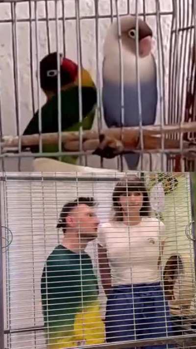 Men, this is how flirting should be done properly take notes 👏