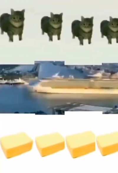 Chega de pornografia, política e preconceito. Vamos ver um pouco de shitpost