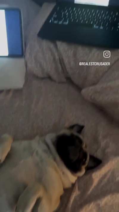 tonight was the night