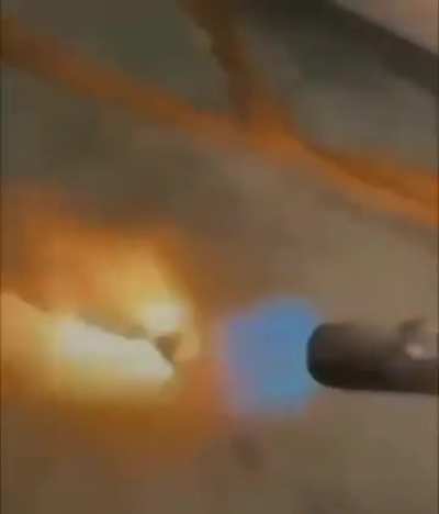 Suriyeliler siktir olup gitmezse aynı bu muamele geliyor