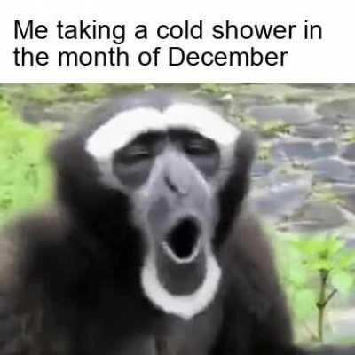 I like to live dangerously