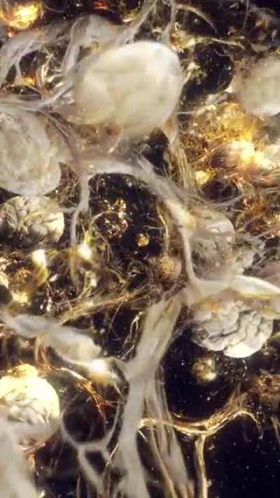 Stable diffusion is only the beginning