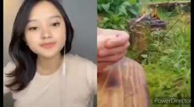 O que é mentira e o que é verdade?