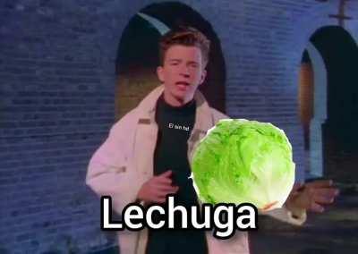 Día uno publicando lechuga hasta aparecer en el video del viejas