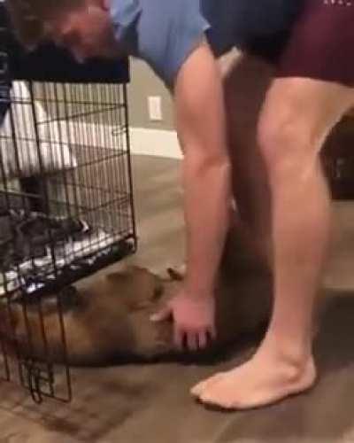 Don&rsquo;t wake me up until holiday is over!! 😂