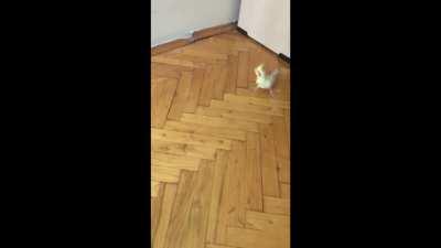 Eski KGB günlerinden kalma bir video buldum arşivimde Xsdsdfgjkşsdlkfdkjgldkfjgldkjljkhklsjhdkjshkdjs