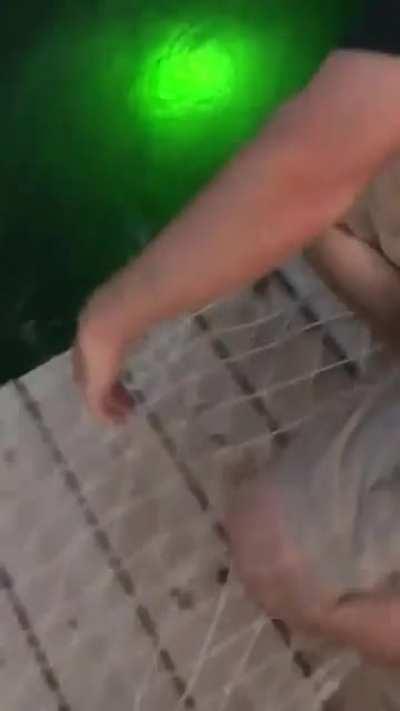 Gets funnier every time you watch it