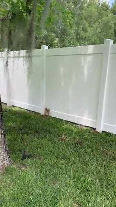 WCGW hiring the cheapest fence installation company?