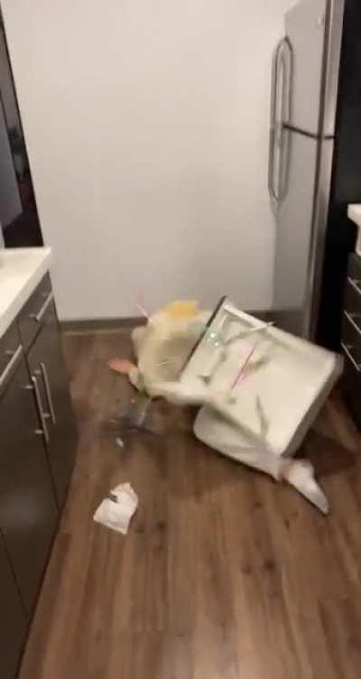 When you try to come home from the bars discreetly to not wake your roommates but this happens instead…