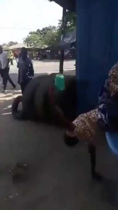 This old lady doing flips