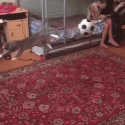 I present the Goalkeeper!