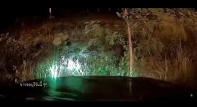 When takin a piss goes wrong