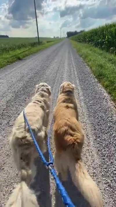 We are ready for fall weather 🔥