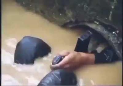 Marine Corps basic training back in the day.