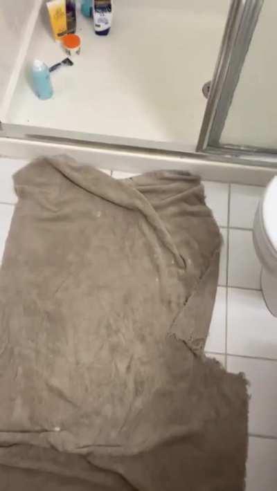 Shooting into the shower 