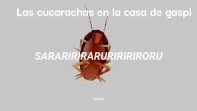 Absolutamente nadie: