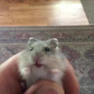 Моя последняя нервная клетка к концу года