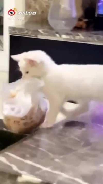 Miscatculated the escape