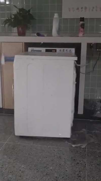 Is this how washing machines mate? Do they orgasm backwards?